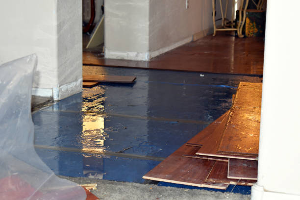 Professional Flood Damage Restoration technician working in Luck, WI